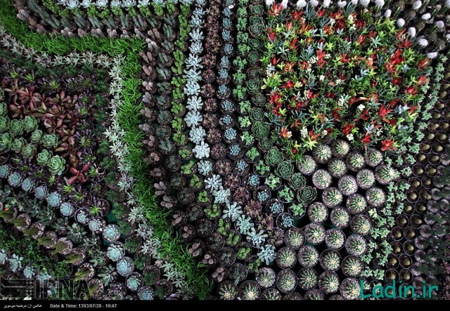 نمایشگاه گل و گیاه بوستان گفتگو