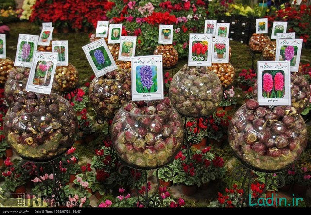 نمایشگاه گل و گیاه تهران (عکس)