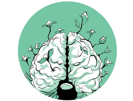 دانستنی های جالب و شایعات غلط در رابطه با مغز انسان