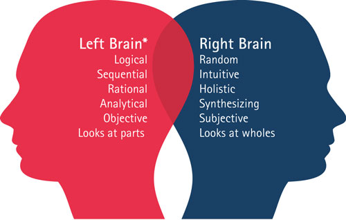 کدام نیمکره مغز شما فعال تر است؟