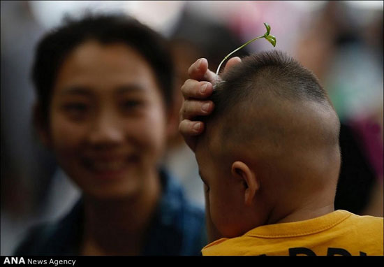 کاشت گیاه روی سر در پکن