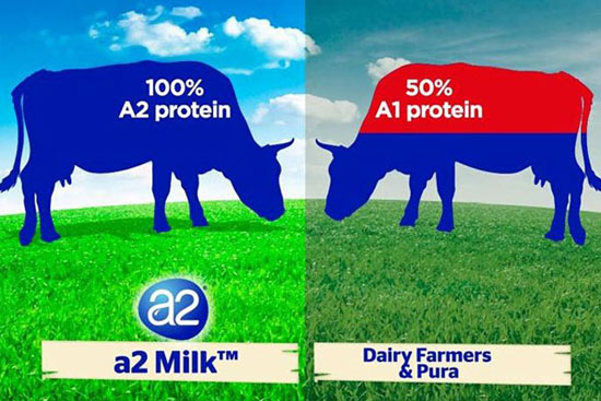مقایسه شیر A1 و A2 - آیا مهم است؟