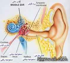 گوش ، جرم گوش درمان ، تميز كردن گوش