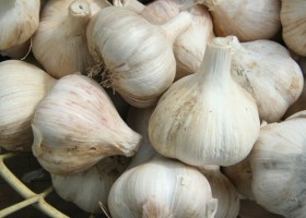 Garlic-health-benefits