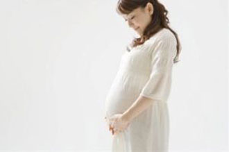 بارداری حاملگی