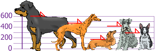 اندازه قد سگها