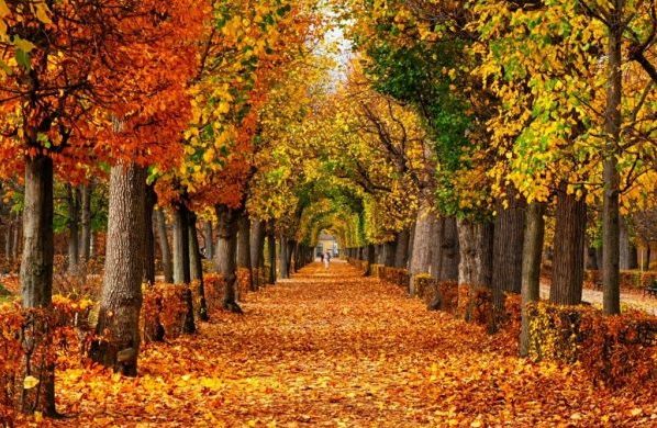 جملات کوتاه و زیبا درباره پاییز همراه عکس نوشته پاییزی