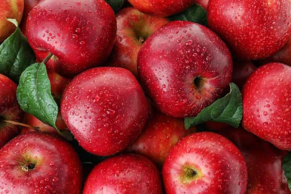 خواص سیب در قرآن | خواص میوه سیب از منظر روایات و قرآن کریم